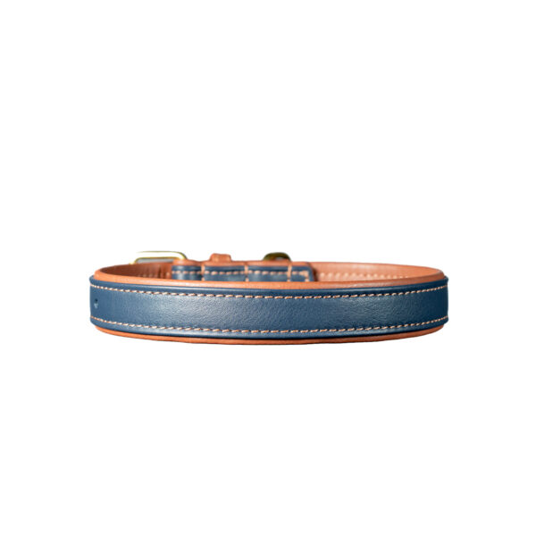 Collare in pelle blu e beige - immagine 2
