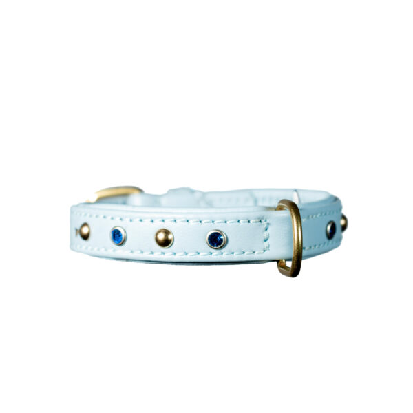 Collare in pelle azzurra per Chihuahua con borchie oro e cristalli sapphire - immagine 2