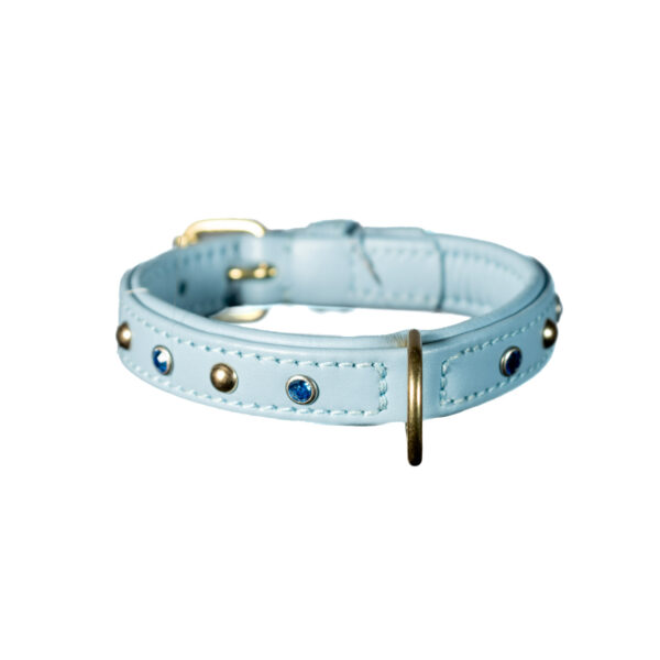 Collare in pelle azzurra per Chihuahua con borchie oro e cristalli sapphire