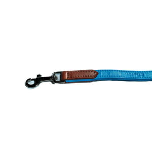 Guinzaglio in pelle azzurra