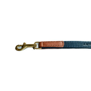 Guinzaglio in pelle blu